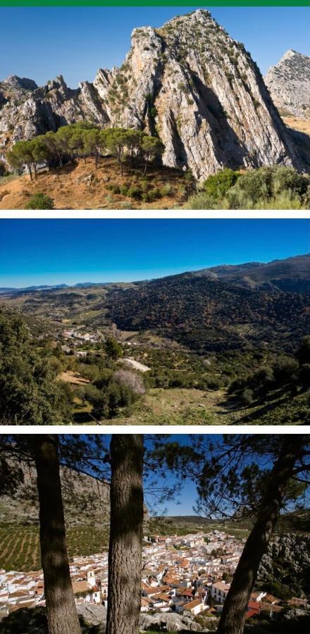 Hotel Rural Palacete De Manara مونتيخاكي المظهر الخارجي الصورة